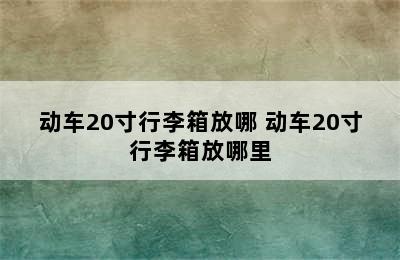 动车20寸行李箱放哪 动车20寸行李箱放哪里